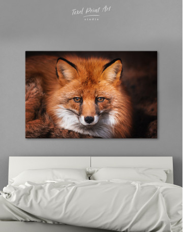 Red Fox Close Up Canvas Wall Art