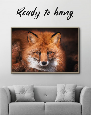 Framed Red Fox Close Up Canvas Wall Art