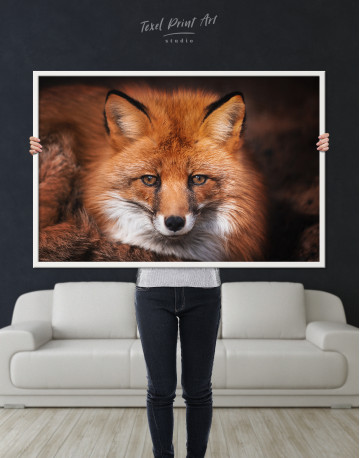 Framed Red Fox Close Up Canvas Wall Art - image 5