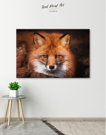 Red Fox Close Up Canvas Wall Art - image 6