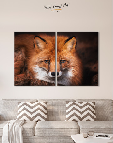 Red Fox Close Up Canvas Wall Art - image 10