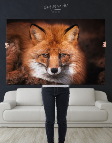 Red Fox Close Up Canvas Wall Art - image 9