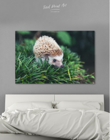 Hedgehog on Green Forest Canvas Wall Art