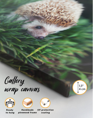 Hedgehog on Green Forest Canvas Wall Art - image 8