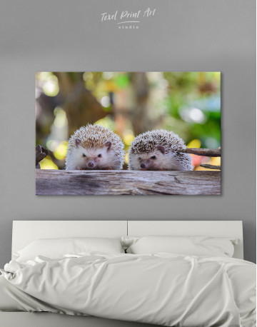 Couple of Two Hedgehogs on Tree Canvas Wall Art