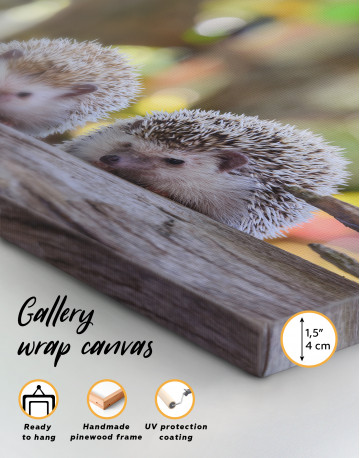 Couple of Two Hedgehogs on Tree Canvas Wall Art - image 8