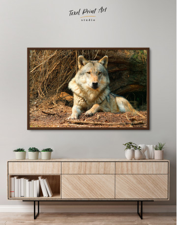 Framed Wild Gray Wolf Canvas Wall Art - image 3