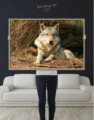Framed Wild Gray Wolf Canvas Wall Art - image 5