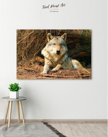 Wild Gray Wolf Canvas Wall Art - image 6