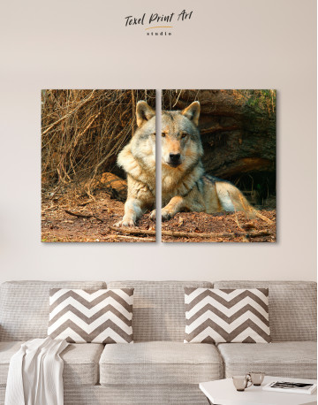 Wild Gray Wolf Canvas Wall Art - image 1