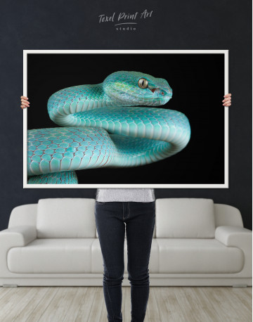 Framed Blue Viper Snake Canvas Wall Art - image 5