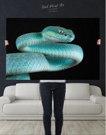 Blue Viper Snake Canvas Wall Art - image 9