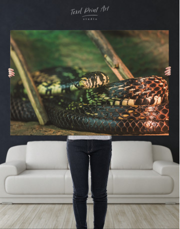 Black Snake Close Up Canvas Wall Art - image 9