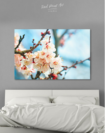 Apricot Blossom in Spring Canvas Wall Art