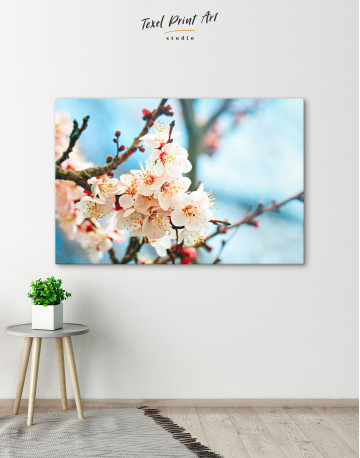 Apricot Blossom in Spring Canvas Wall Art - image 9