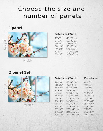 Apricot Blossom in Spring Canvas Wall Art - image 3