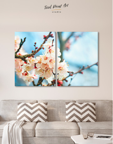 Apricot Blossom in Spring Canvas Wall Art - image 1