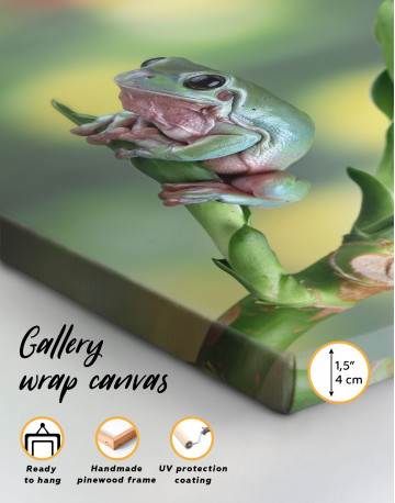 Frog on Green Leaves Canvas Wall Art - image 2