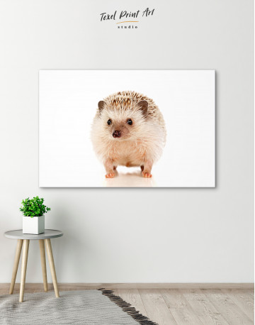 Nice Brown Hedgehog Canvas Wall Art - image 6