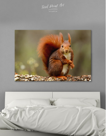 Red squirrel Canvas Wall Art - image 7