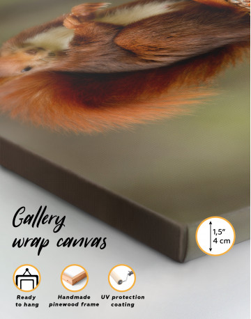 Red squirrel Canvas Wall Art - image 1