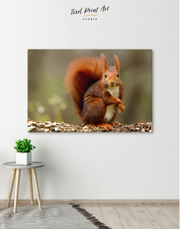 Red squirrel Canvas Wall Art - image 5