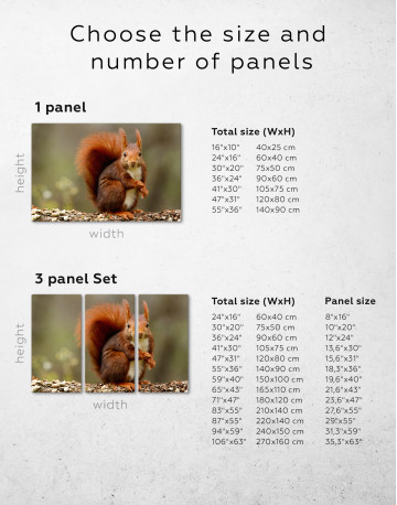 Red squirrel Canvas Wall Art - image 3