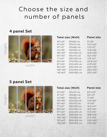 Red squirrel Canvas Wall Art - image 2