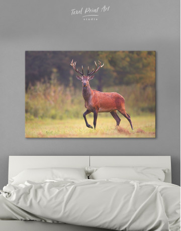Wild Red Deer on a Meadow Canvas Wall Art - image 8