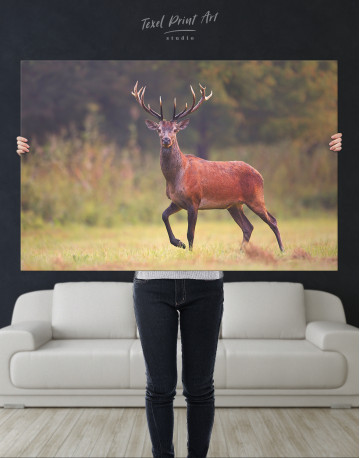 Wild Red Deer on a Meadow Canvas Wall Art - image 7