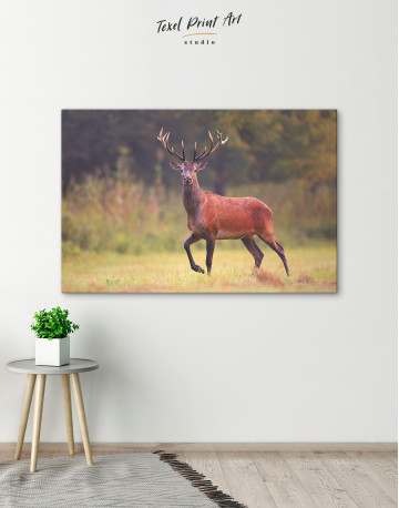 Wild Red Deer on a Meadow Canvas Wall Art - image 6