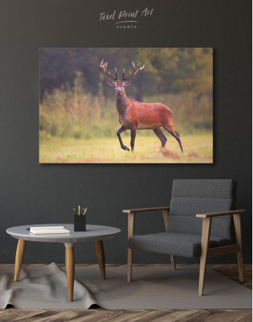Wild Red Deer on a Meadow Canvas Wall Art - image 5
