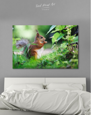 Eurasian Red Squirrel Canvas Wall Art - image 8