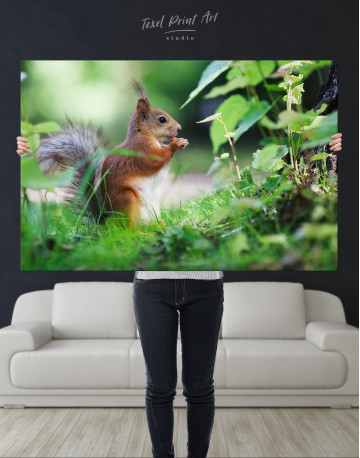 Eurasian Red Squirrel Canvas Wall Art - image 7
