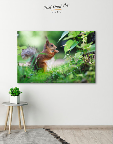 Eurasian Red Squirrel Canvas Wall Art - image 6