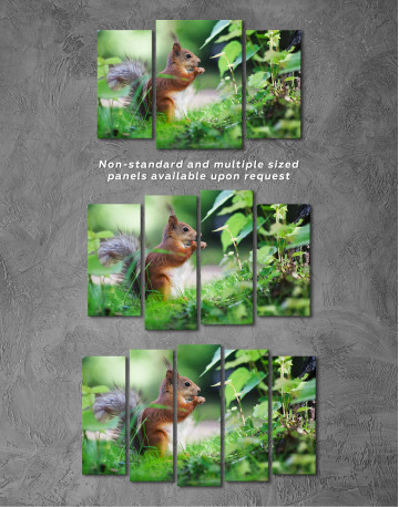 Eurasian Red Squirrel Canvas Wall Art - image 2