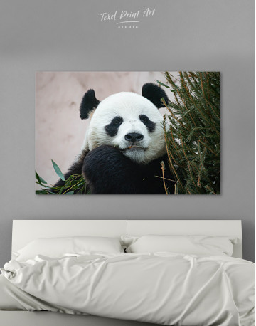 Giant Panda Portrait Canvas Wall Art - image 9