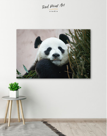 Giant Panda Portrait Canvas Wall Art - image 7