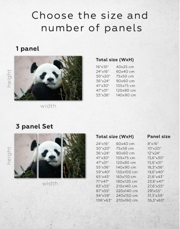 Giant Panda Portrait Canvas Wall Art - image 1
