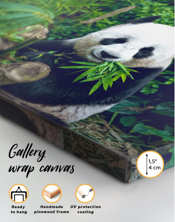 Giant Panda Bear Eating Bamboo Canvas Wall Art - image 2