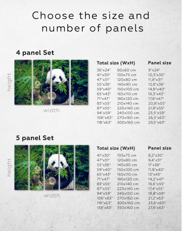 Giant Panda Bear Eating Bamboo Canvas Wall Art - image 9