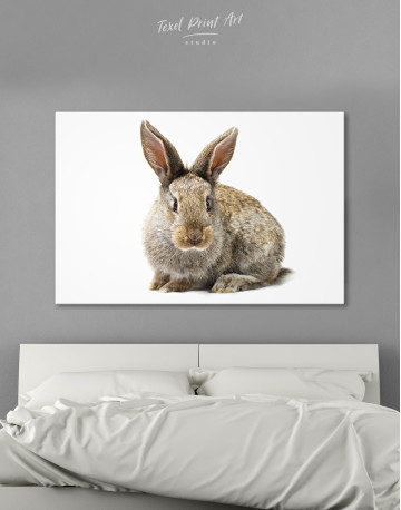 Gray Fluffy Bunny Canvas Wall Art - image 1
