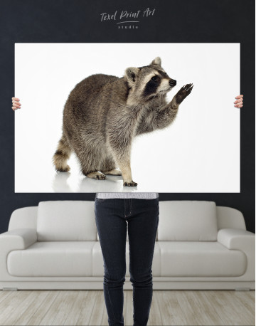 Cute gray Raccoon Canvas Wall Art - image 5