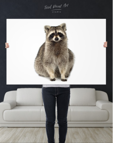 Fluffy Raccoon Canvas Wall Art - image 4