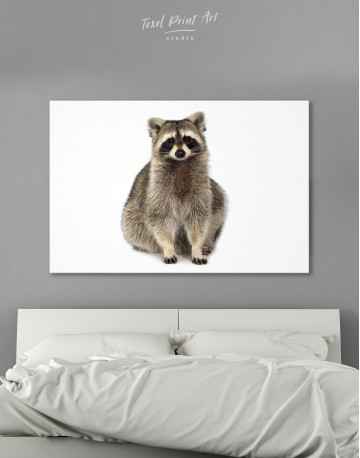 Fluffy Raccoon Canvas Wall Art - image 1