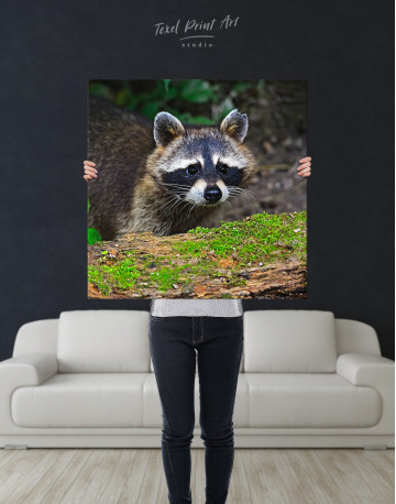 Raccoon in the Forest Canvas Wall Art - image 3