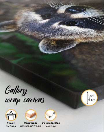 Raccoon in the Forest Canvas Wall Art - image 1