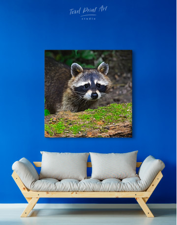 Raccoon in the Forest Canvas Wall Art - image 4