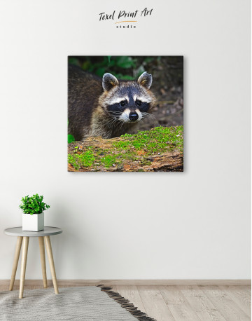 Raccoon in the Forest Canvas Wall Art - image 6