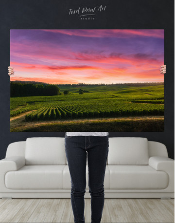 Row vine grape in champagne vineyards at Reims, France Canvas Wall Art - image 8